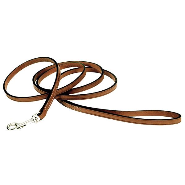 Circle T Oak Tanned Leather Dog Leash, Tan, 3/8-in Leather x 6-ft Long