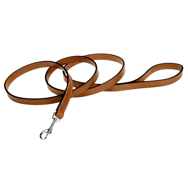 Circle T Oak Tanned Leather Dog Leash, Tan, 5/8-in Leather x 6-ft Long