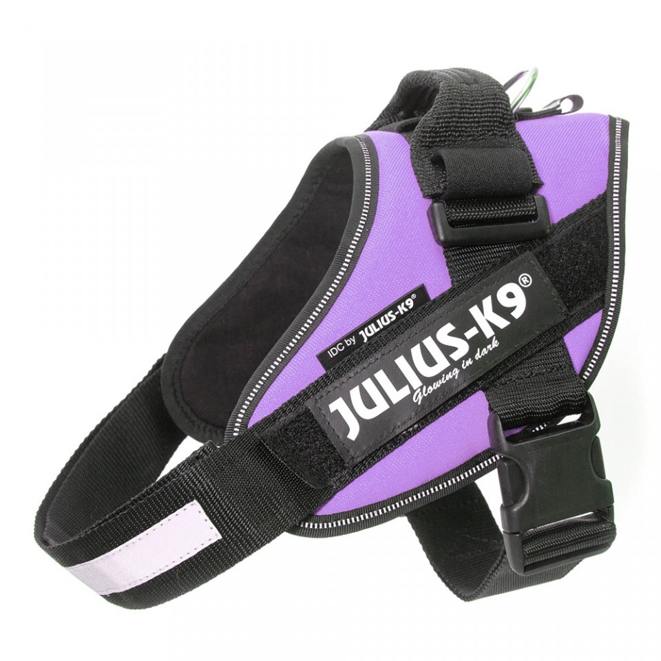 Julius-K9 IDC Powerharness Dog Harness, Purple, 0 (*)