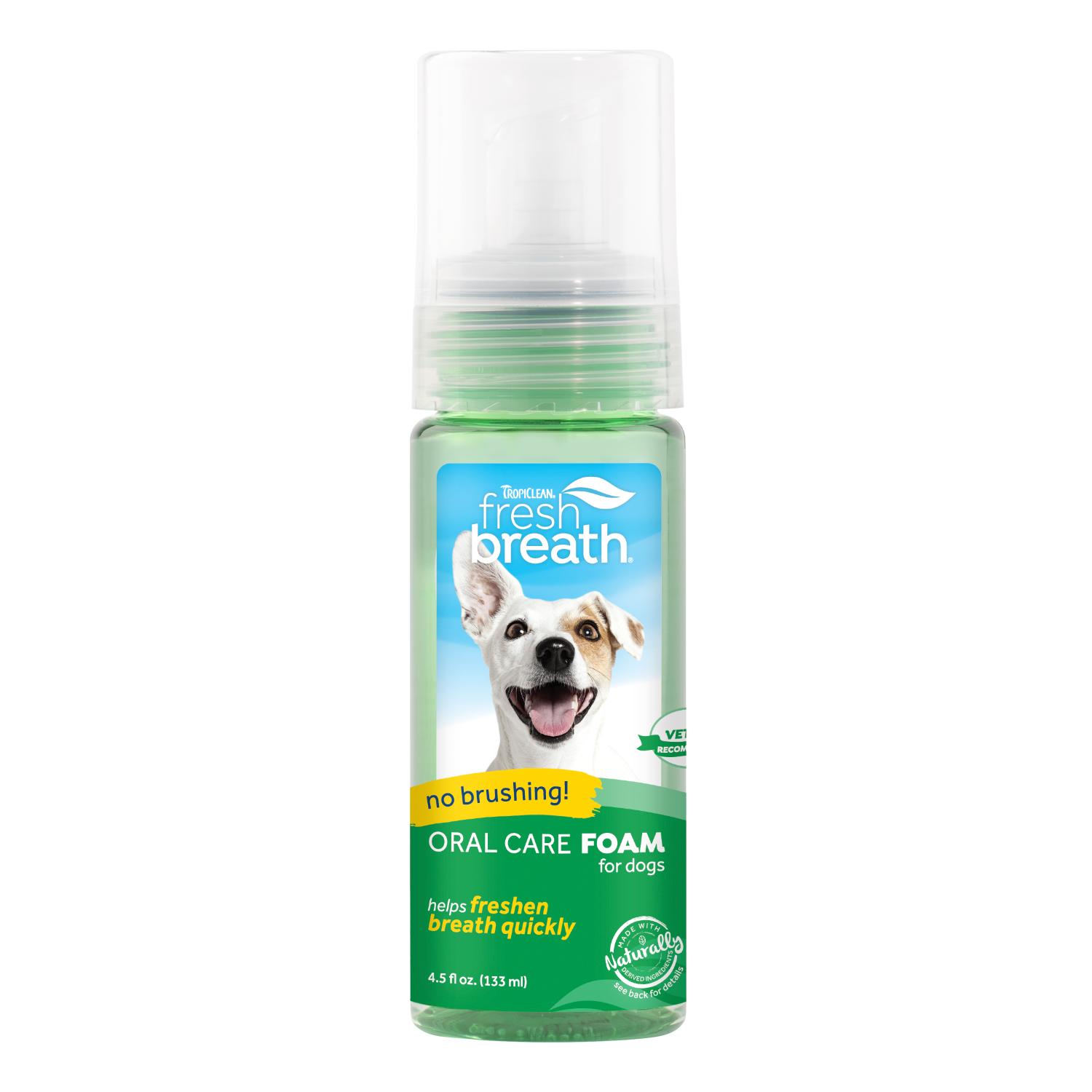 Best oral hygiene store products for dogs