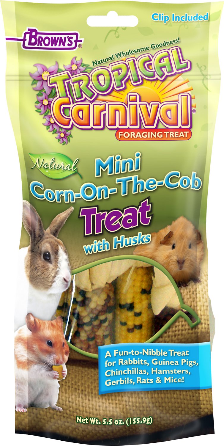 corn on the cob for hamsters