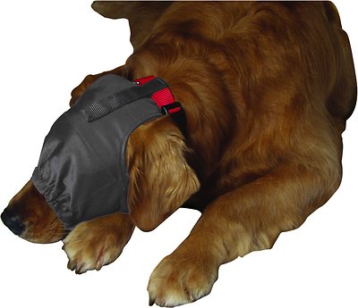ThunderCap Calming Cap, Small