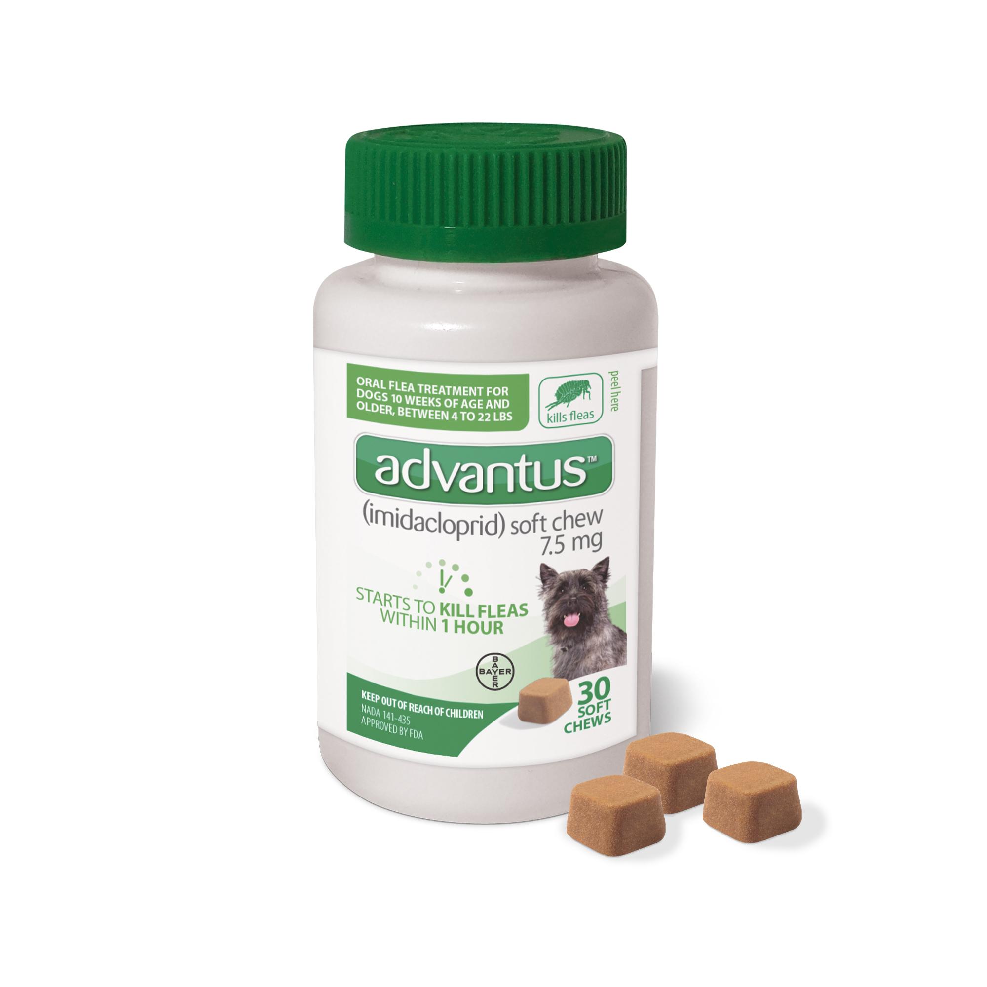 advantus soft chew for small dog