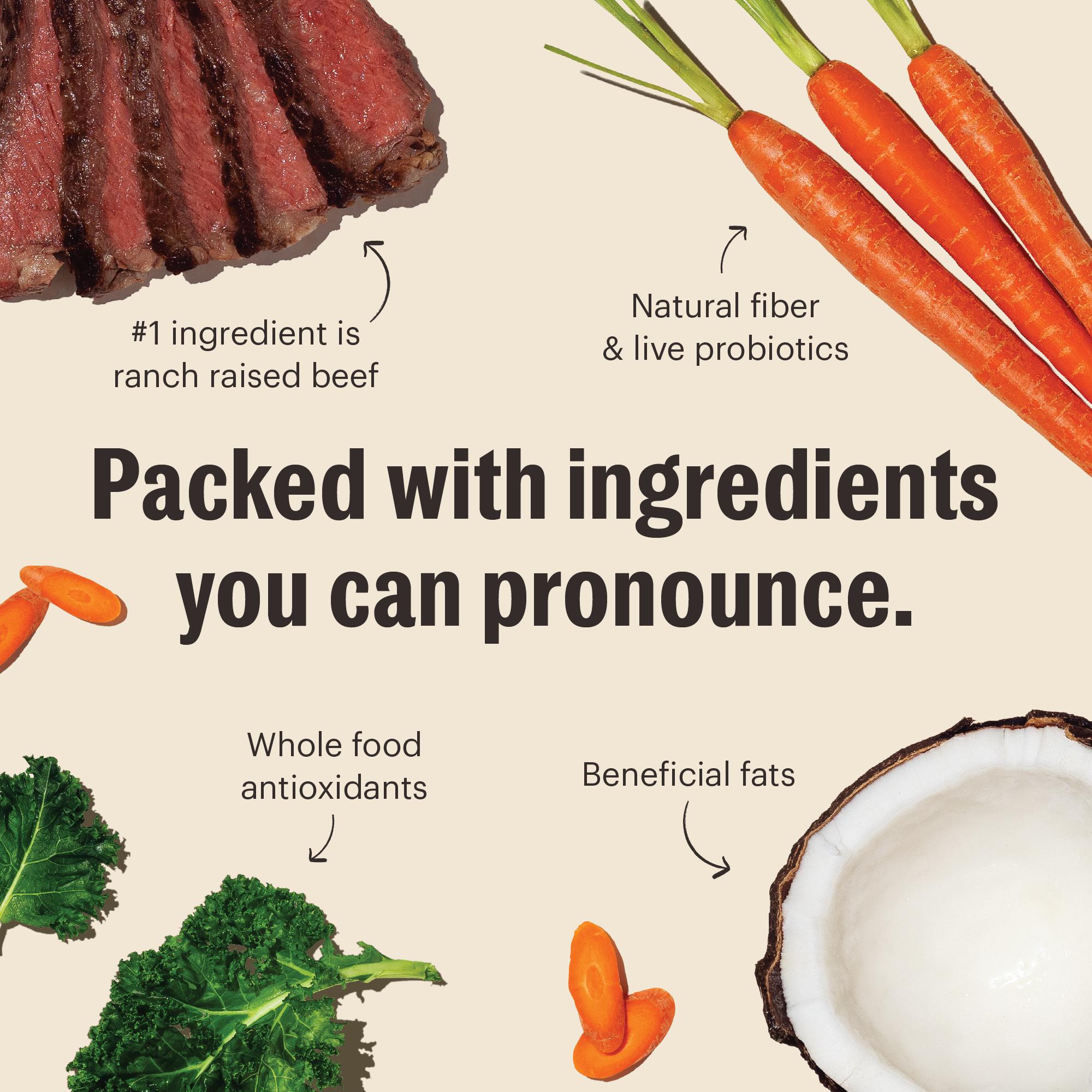 The Honest Kitchen Whole Food Clusters Beef Grain-Free Dry Dog Food, 20-lb