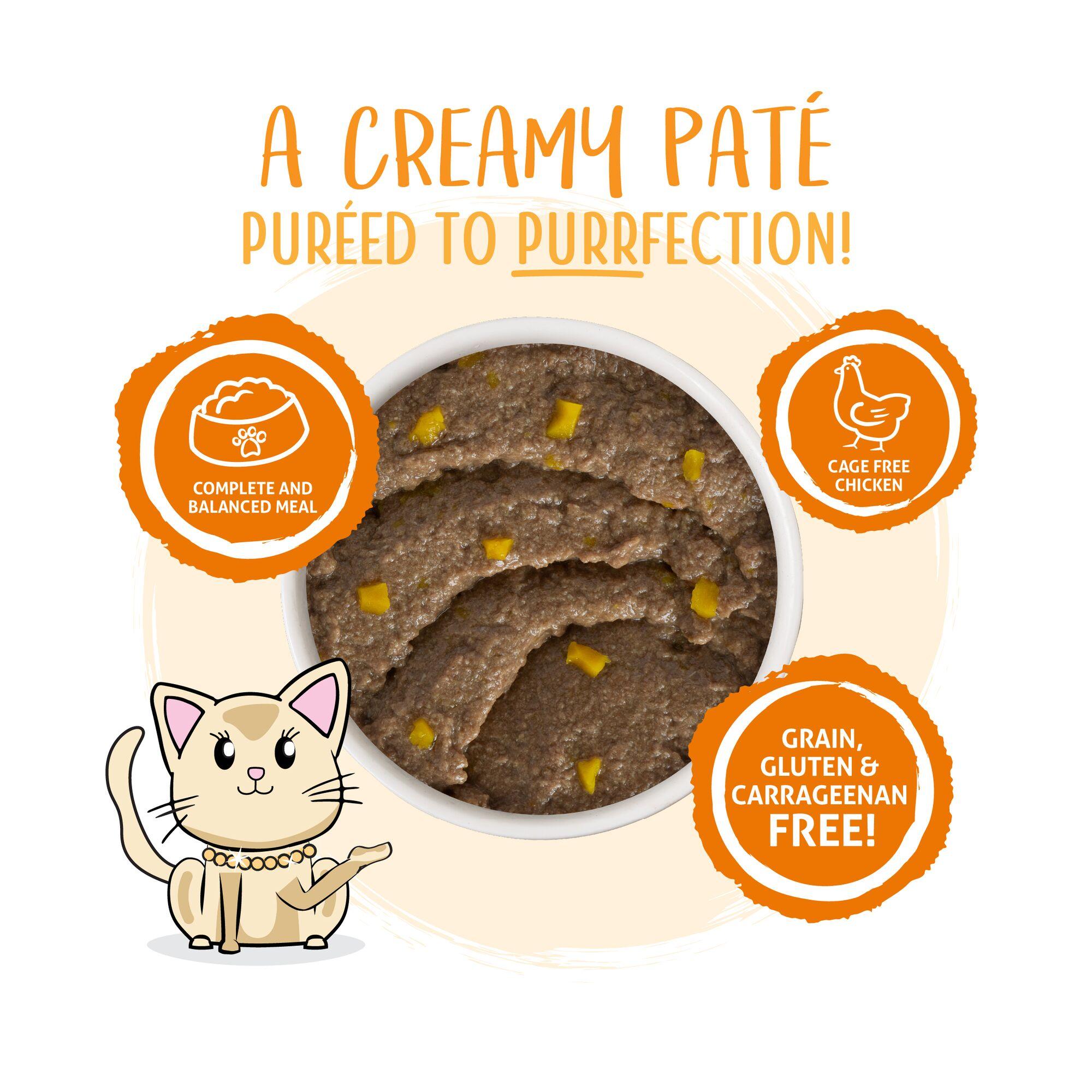 Weruva Cat Pate Who Wants to be a Meowionaire? Chicken & Pumpkin Dinner in a Hydrating Puree Wet Cat Food Can, 3-oz