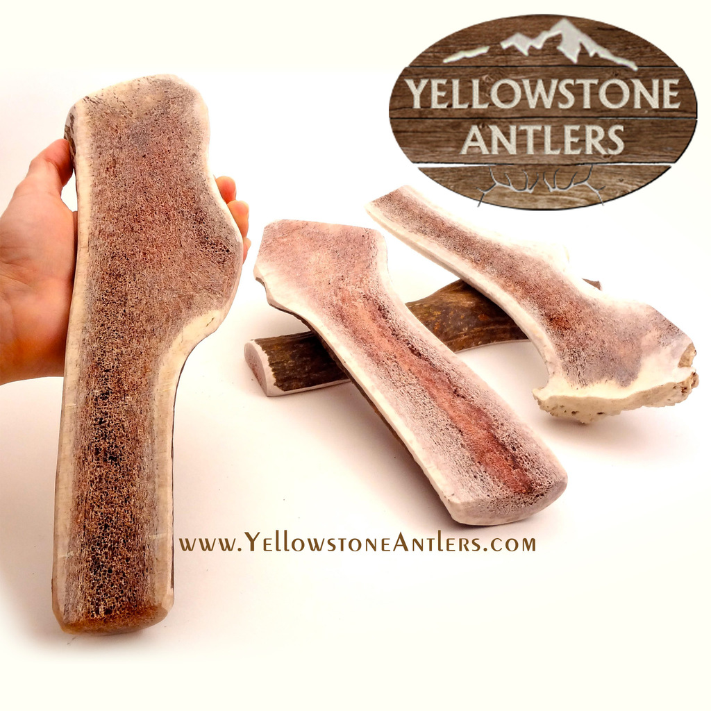 Yellowstone Antlers Premium Quality Giant Split Elk Antler Dog Chews, 10-12-in