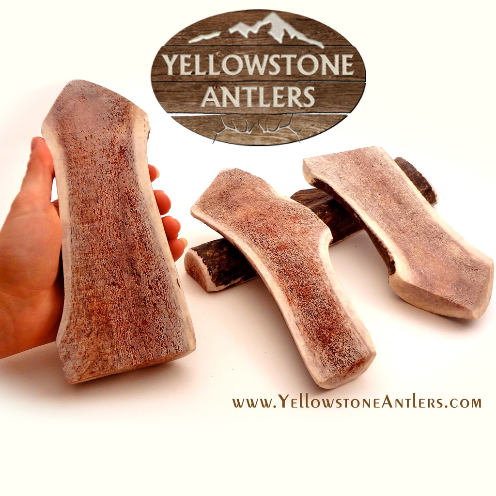 Yellowstone Antlers Premium Quality Large Split Elk Antler Dog Chews, 8-10-in