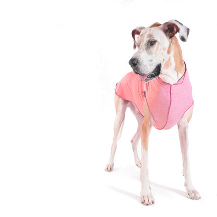 Goldpaw Sun Shield Dog Tee, Coral Heather