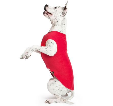 Goldpaw Stretch Fleece Dog Coat, Red, 4