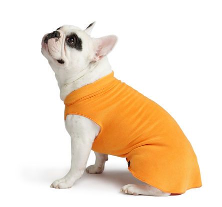 Goldpaw Stretch Fleece Dog Coat, Orange Pumpkin