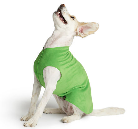 Goldpaw Stretch Fleece Dog Coat, Grass Green, 20