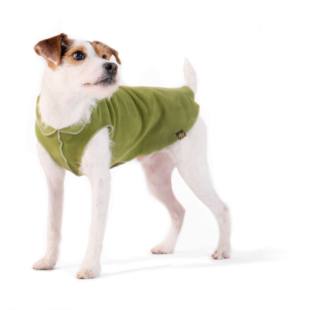 Goldpaw Stretch Fleece Dog Coat, Moss, 12