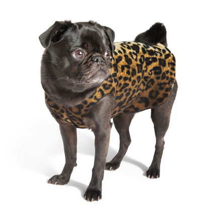 Goldpaw Stretch Fleece Dog Coat, Leopard, 30