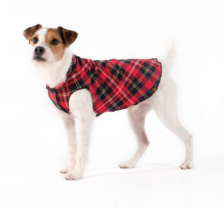 Goldpaw Stretch Fleece Dog Coat, Red Classic Plaid, 8
