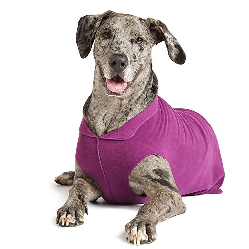 Goldpaw Stretch Fleece Dog Coat, Eggplant, 26