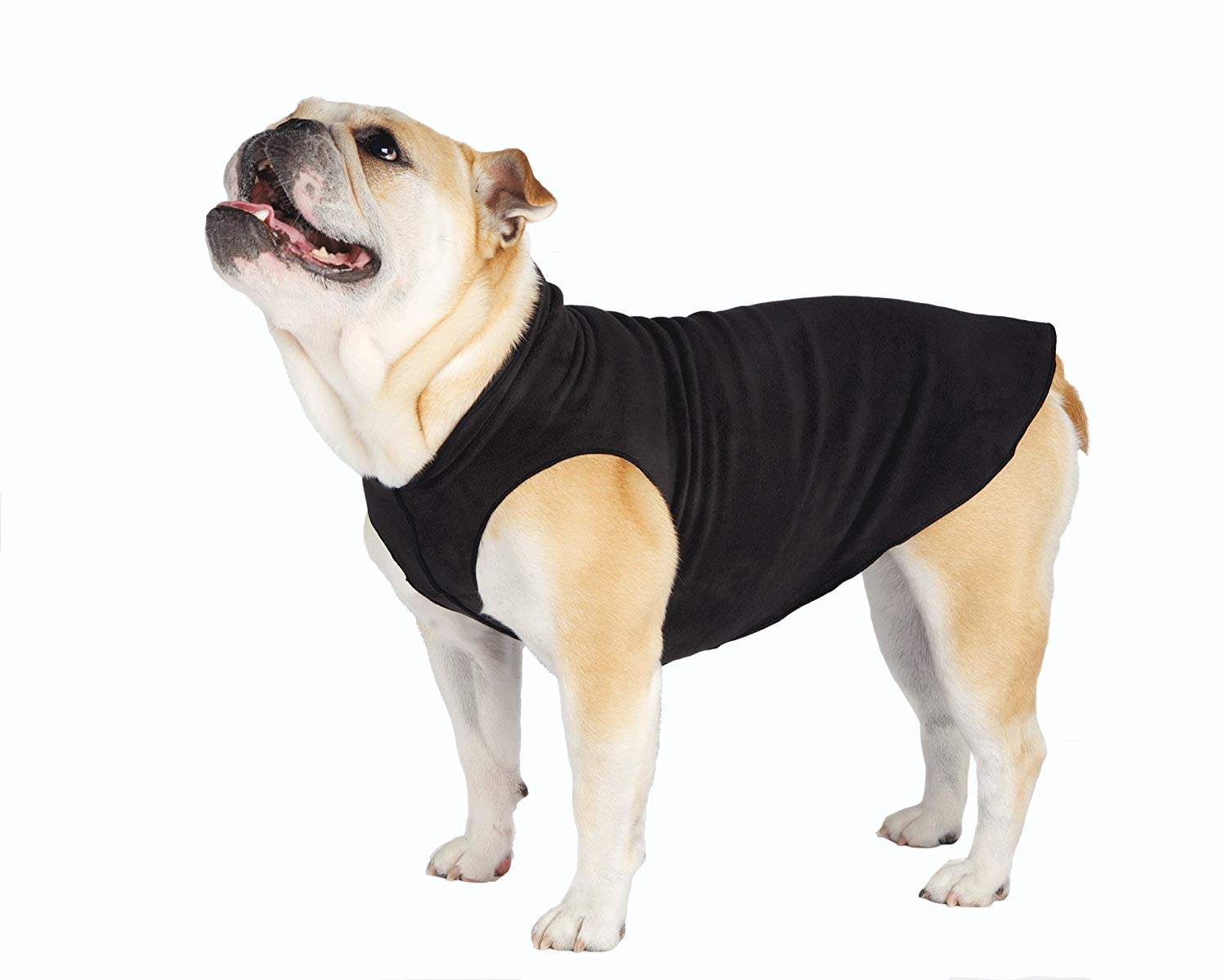 Goldpaw Stretch Fleece Dog Coat, Black, 24