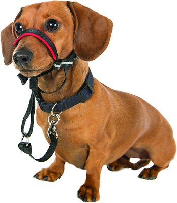 Halti OptiFit Dog Headcollar, Small (**)