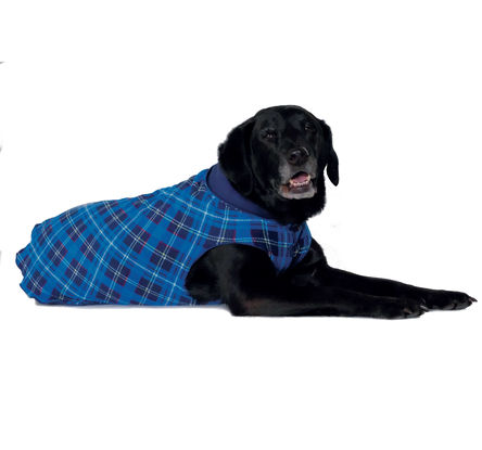 Goldpaw Duluth Double Fleece Dog Coat, Blue Plaid/Navy
