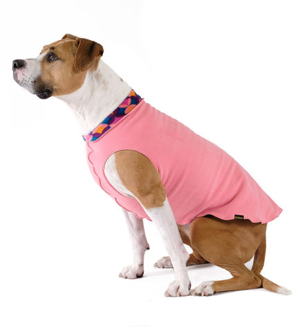 Goldpaw Duluth Double Fleece Dog Coat, Coral/Summer Mod, 12