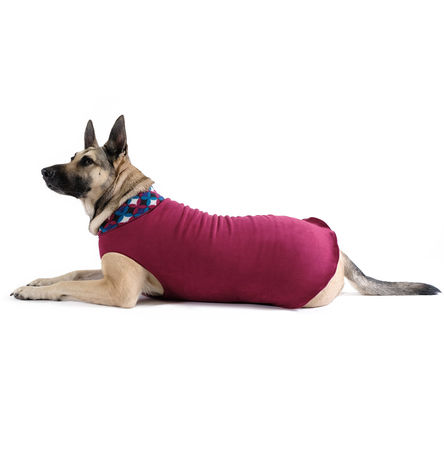 Goldpaw Duluth Double Fleece Dog Coat, Garnet/Winter Mod, 6