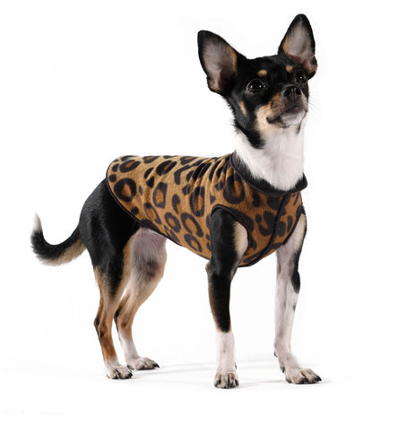 Goldpaw Duluth Double Fleece Dog Coat, Leopard/Black