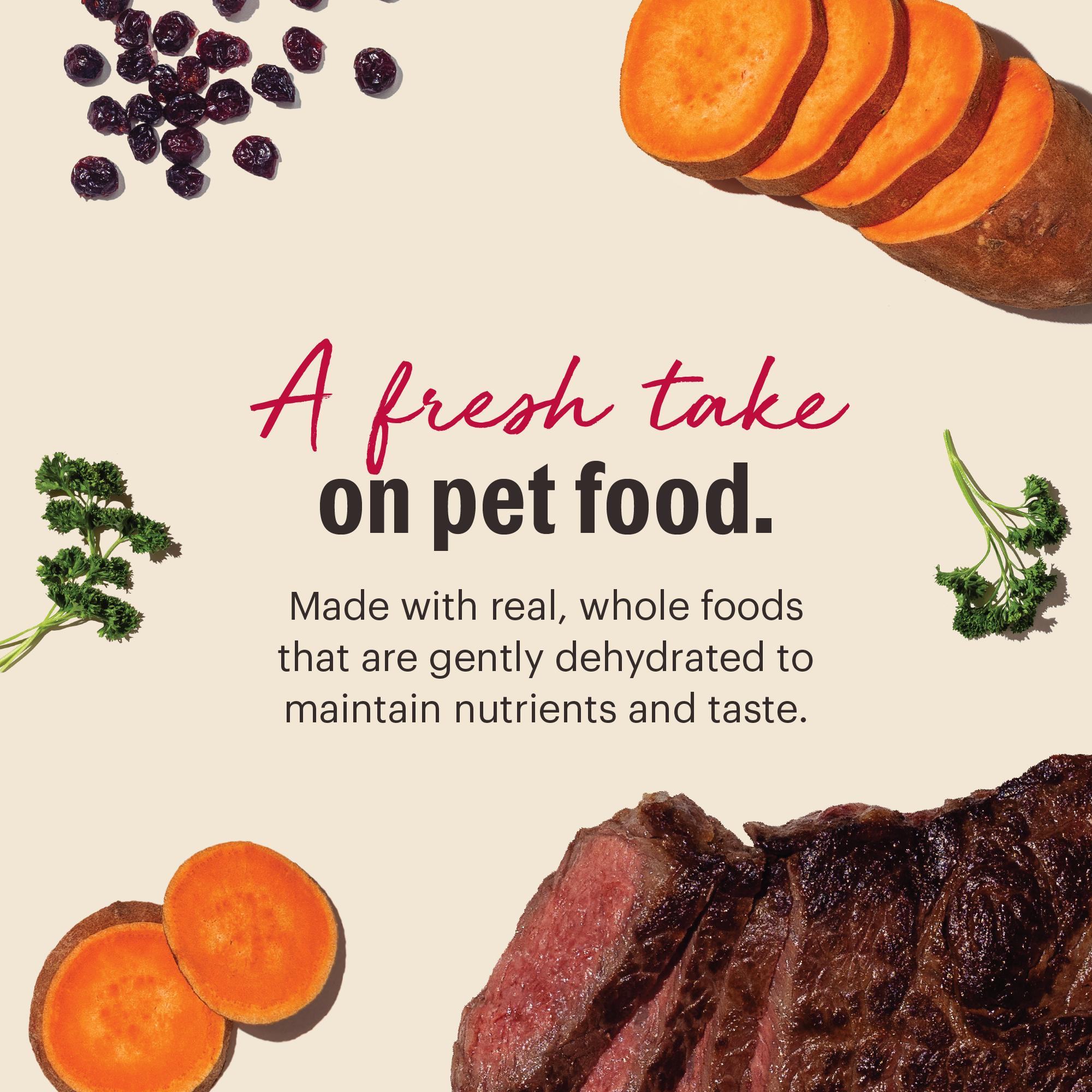 The Honest Kitchen Beef Grain-Free Dehydrated Dog Food, 4-lb