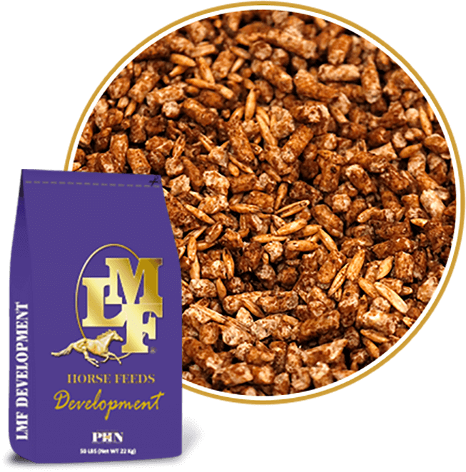 LMF Horse Feeds Development Horse Feed, 50-lb