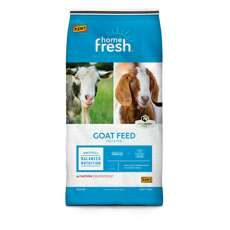 Kent Home Fresh 16 Goat Grow & Finish Feed for Goats, 50-lb