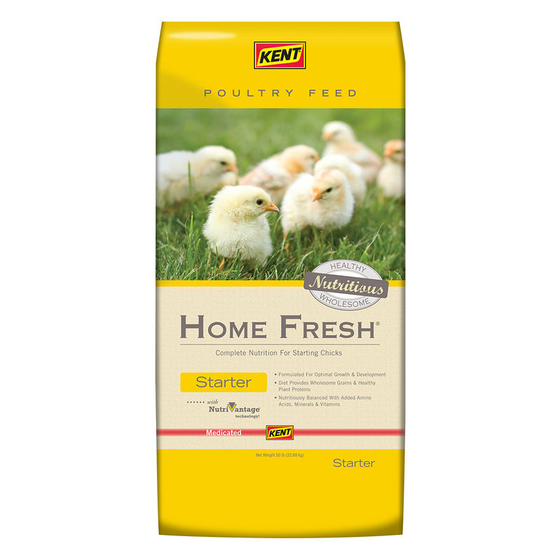 Kent Home Fresh Starter - AMP Medicated Poultry Food