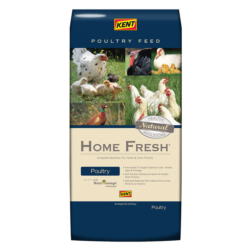 Kent Home Fresh Grow & Show Poultry Food, 50-lb