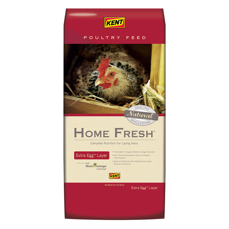 Kent Home Fresh Extra Egg Layer Poultry Food, 50-lb