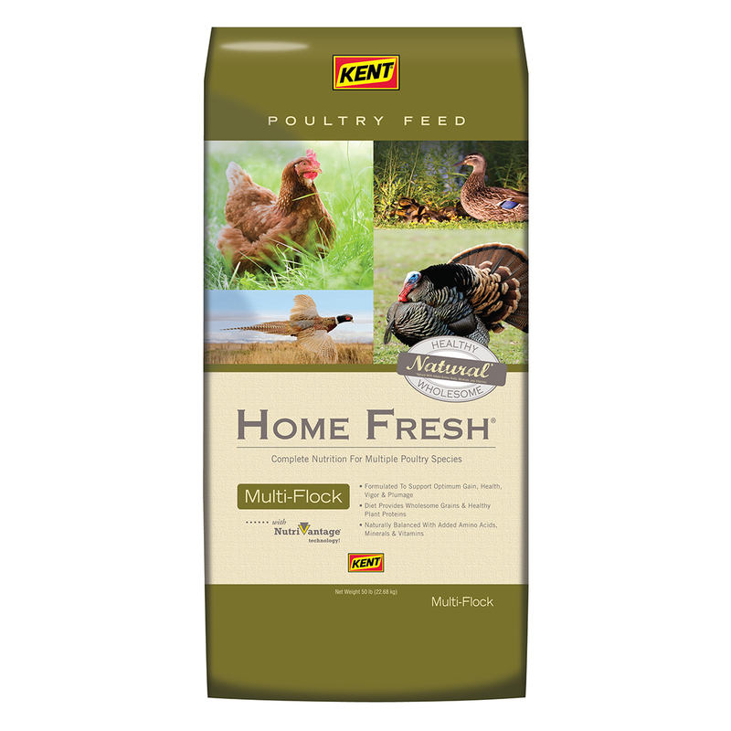 Kent Home Fresh Multi-Flock Breeder Poultry Food, 50-lb