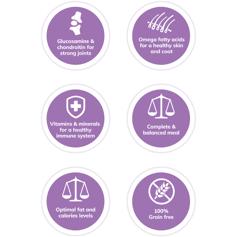 wellness core senior