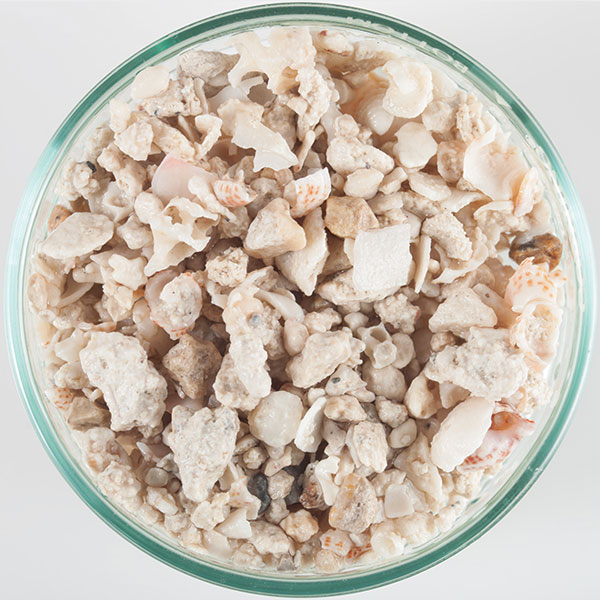 Carib Sea Inc Coraline Marine Aquarium Gravel, Florida Crushed Coral