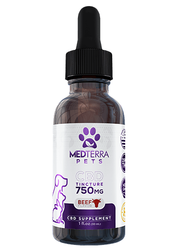 Medterra Beef Flavored Alternative Supplement Tincture for Pets, 750mg, 1-oz