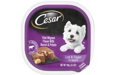 Cesar Savory Delights Filet Mignon Dog Food Trays