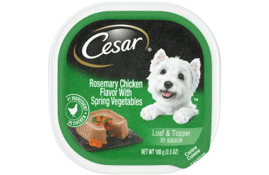 Cesar Savory Delights Rosemary Chicken Dog Food Trays