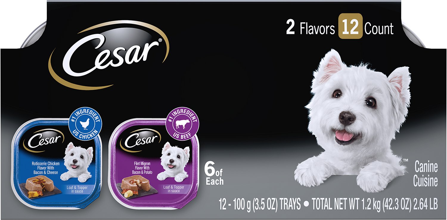 Cesar Savory Delights Variety Pack Wet Dog Food Trays, Rotisserie Chicken & Filet Mignon Flavors