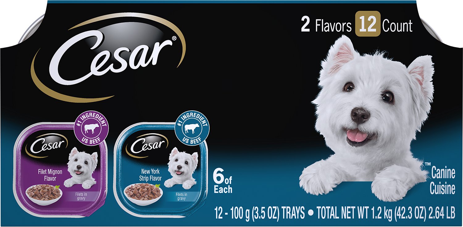 Cesar Filets in Sauce Variety Pack Wet Dog Food Trays, Filet Mignon & New York Strip Flavors