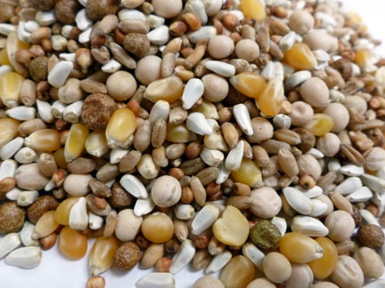 Bar ALE 12% Maintenance Pigeon Food, 50-lb (Size: 50-lb)