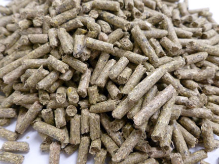 Bar ALE 18% Complete Guinea Pig Food, 50-lb