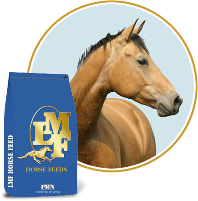 LMF Feeds California Complete Horse Feed, 50-lb