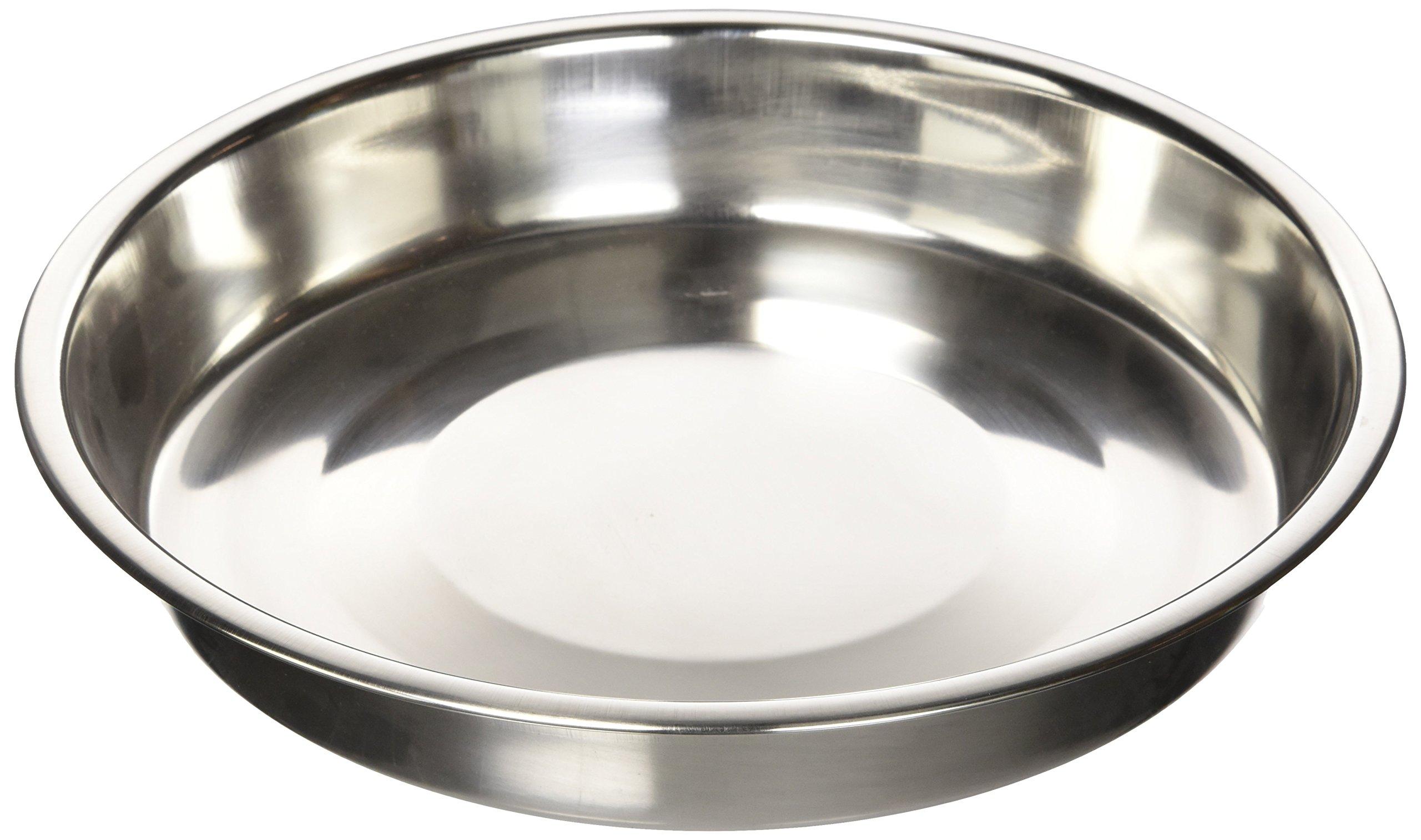 QT Dog Stainless Steel Puppy Pan Dog Bowl, 10-in