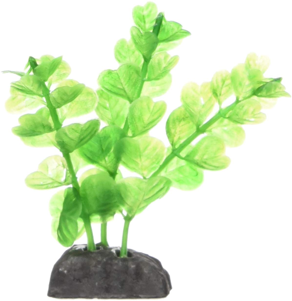 Penn-Plax Clover & Green Betta Aquarium Plants