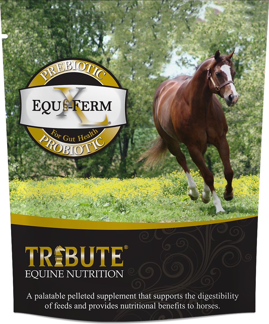 Tribute Equine Nutrition Equi-Ferm XL Prebiotic & Probiotic Horse Supplement, 7.5-lb