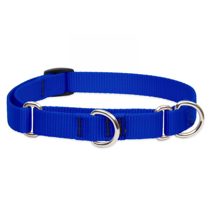 Lupine Pet Basic Solids Martingale Dog Collar, Blue, 3/4-in x 10-14-in
