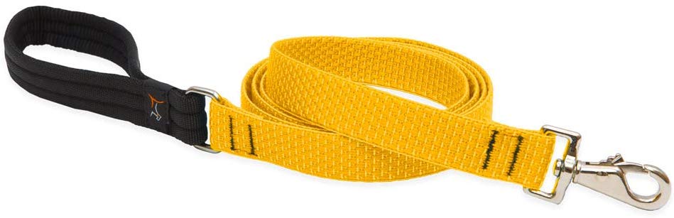 Lupine Pet Eco Dog Leash, Sunshine, 3/4-in x 6-ft