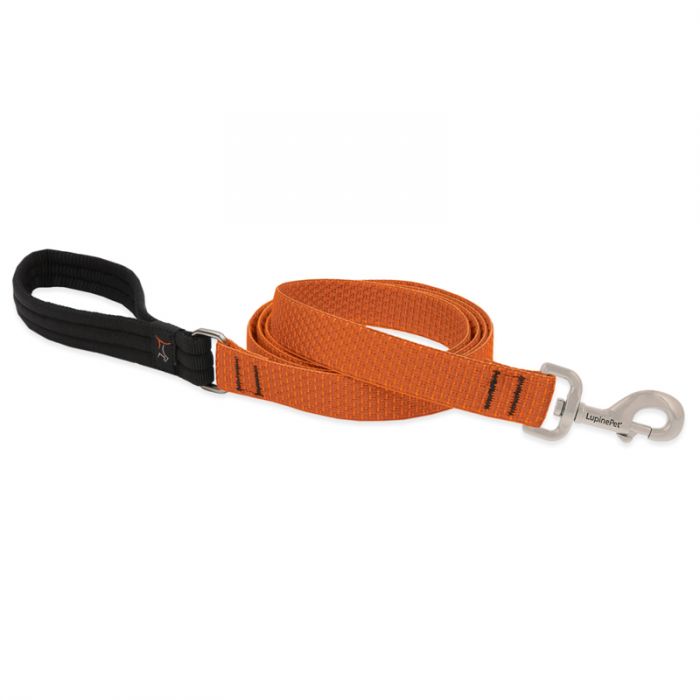 Lupine Pet Eco Dog Leash, Pumpkin, 1-in x 6-ft