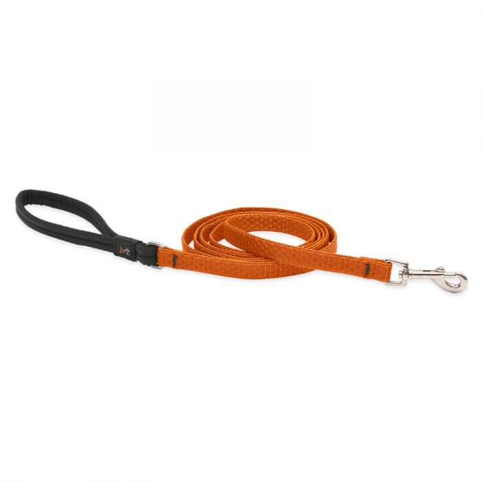 Lupine Pet Eco Dog Leash, Pumpkin, 1/2-in x 6-ft