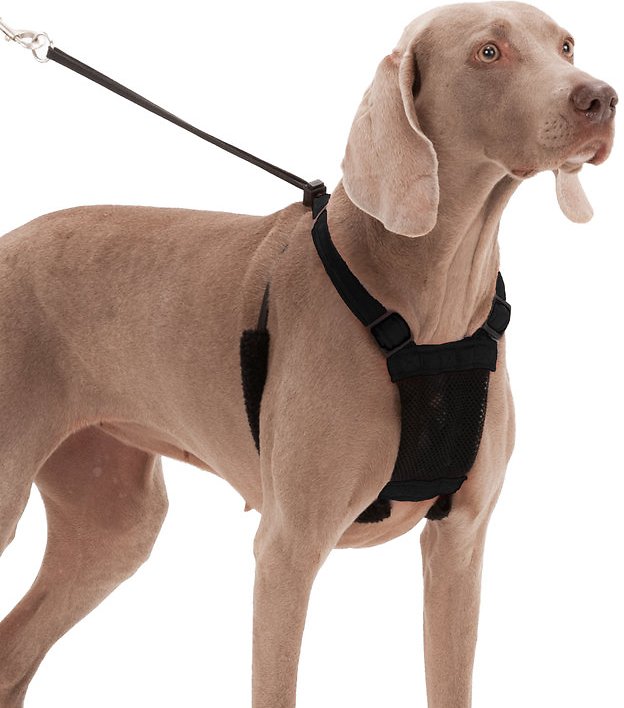 Sporn Non-Pull Mesh Dog Harness